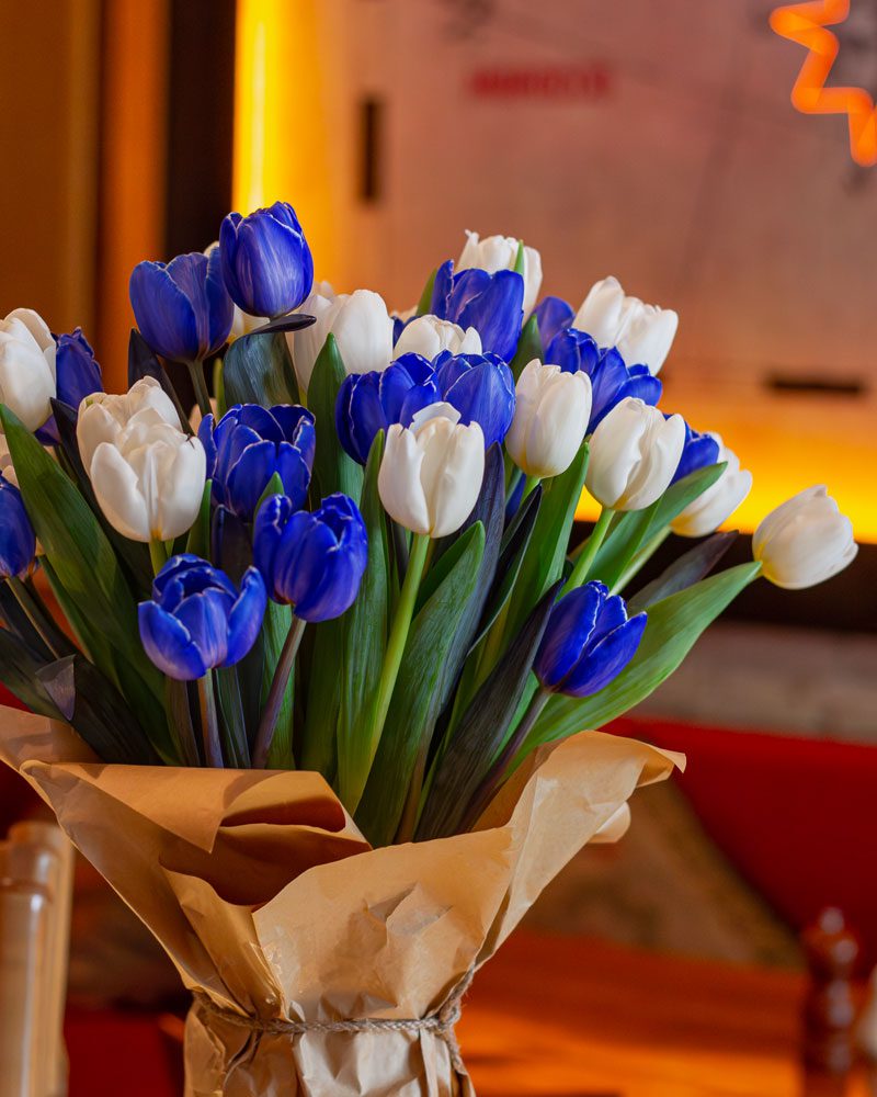 You are currently viewing From Turbans to Rembrandt: the History of Tulips